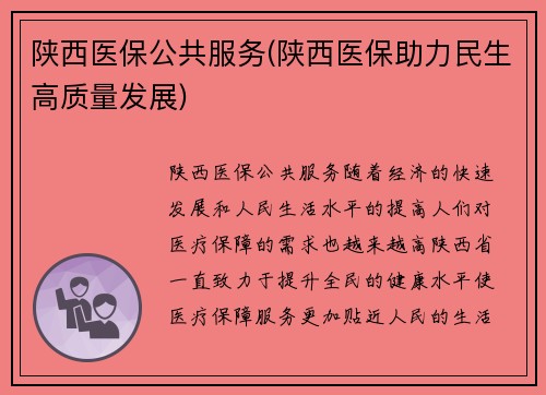 陕西医保公共服务(陕西医保助力民生高质量发展)